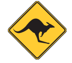 Riversea Region Skippycoin ICG